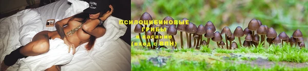 кокс Алзамай