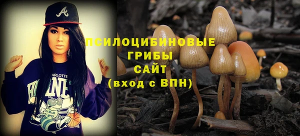 кокс Алзамай
